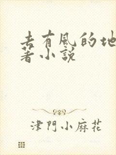 去有风的地方原著小说