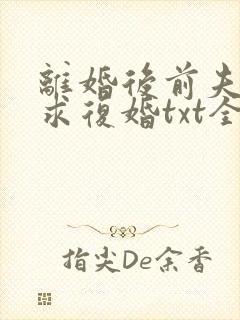 离婚后前夫哭着求复婚txt全本