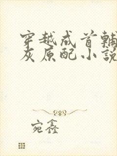 穿越成首辅的炮灰原配小说免费阅读