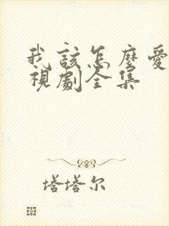 我该怎么爱你电视剧全集