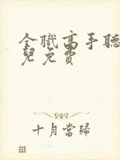 全职高手听书刺儿免费封面