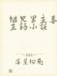 继兄男主喜欢女主的小说