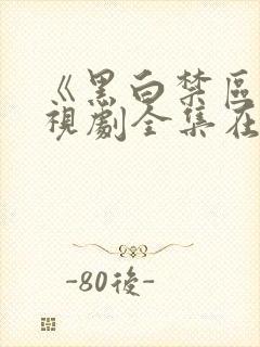 《黑白禁区》电视剧全集在线观看封面