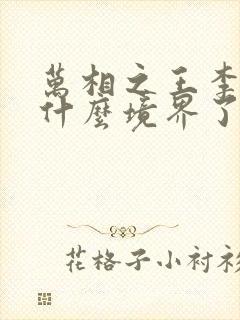 万相之王李洛到什么境界了