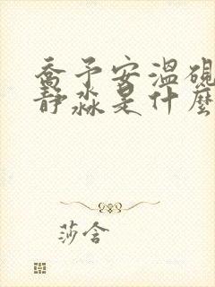 乔予安温砚深沈静淼是什么小说封面