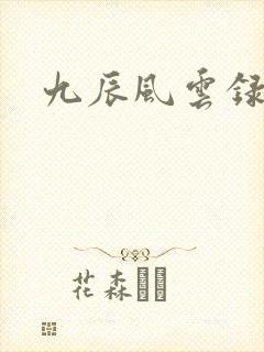 九辰风云录境界