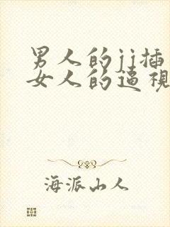 男人的jj插入女人的逼视频