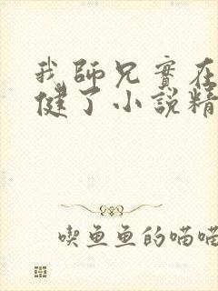 我师兄实在太稳健了小说精校版全集txt