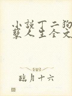 小说丁二狗的妖孽人生全文