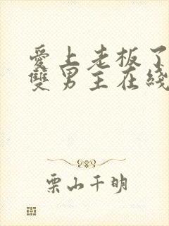 爱上老板了韩剧双男主在线观看