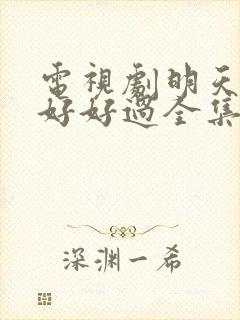 电视剧明天我们好好过全集免费播放封面