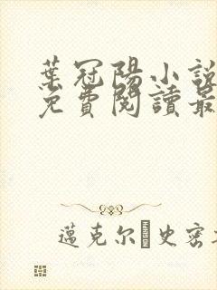 叶冠阳小说全文免费阅读最新章节封面