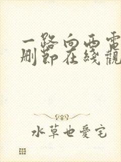 一路向西电影无删节在线观看