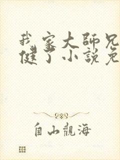 我家大师兄太稳健了小说免费阅读