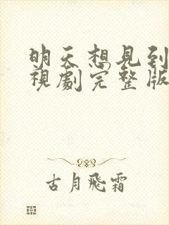 明天想见到你电视剧完整版免费观看