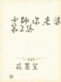 少帅你老婆又跑第2集