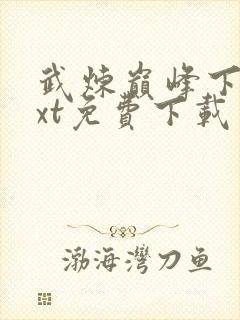 武炼巅峰下载txt免费下载