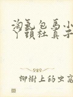 淘气包马小跳疯丫头杜真子听书