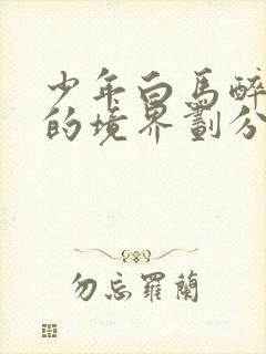 少年白马醉春风的境界划分