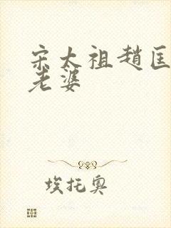 宋太祖赵匡胤的老婆封面