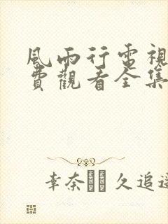 风雨行电视剧免费观看全集高清