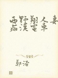 西野翔人妻女医痴汉电车