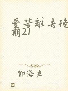 爱若离去后会无期21封面