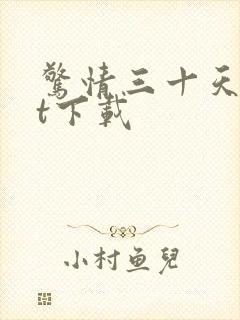 惊情三十天txt下载封面