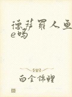 德萨罗人鱼是he吗