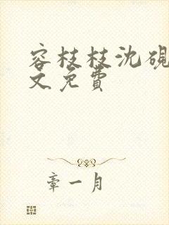 容枝枝沈砚书全文免费封面