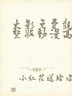 火影免费观看完整版动漫高清