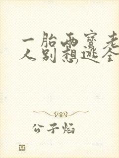 一胎两宝老婆大人别想逃全文免费阅读封面