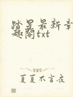 踏星最新章节笔趣阁txt