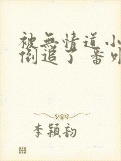 被无情道小师弟倒追了 番外