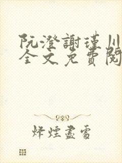 阮澄谢瑾川小说全文免费阅读封面