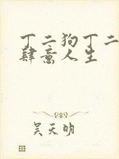 丁二狗丁二狗的肆意人生封面