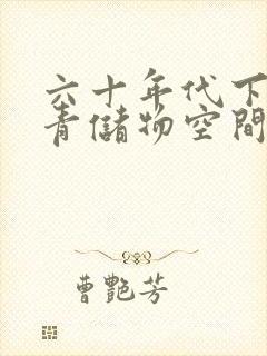 六十年代下乡知青储物空间封面