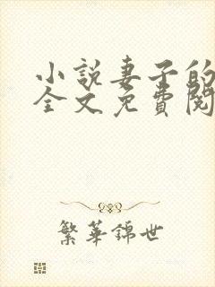 小说妻子的秘密全文免费阅读封面