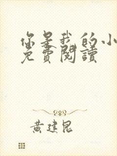 你是我的小确幸免费阅读