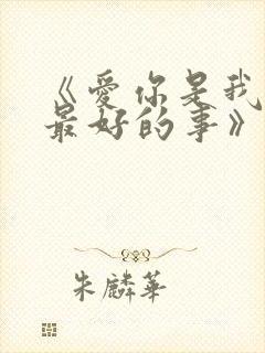 《爱你是我做过最好的事》小说