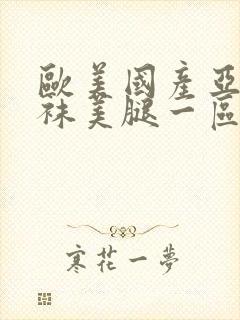 欧美国产亚洲丝袜美腿一区