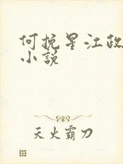 何挽星江政南的小说