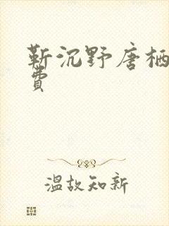 靳沉野唐栖雾免费封面