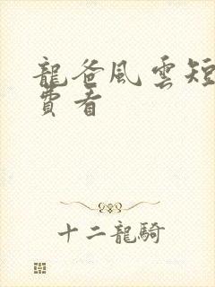 龙爸风云短剧免费看