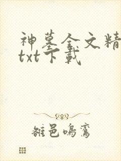神墓全文精校版txt下载