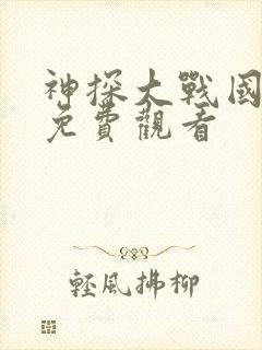 神探大战国语版免费观看