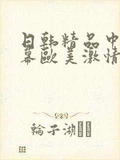 日韩精品中文字幕欧美激情