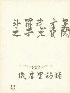 斗罗我才是天命之子免费阅读封面