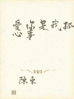 爱你是我孤独的心事封面