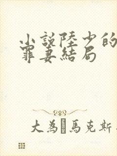 小说陆少的隐婚罪妻结局封面